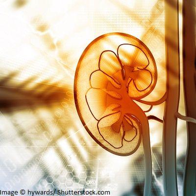 Freezing Kidney Tumors Offers Similar Survival Rate, Fewer Complications 